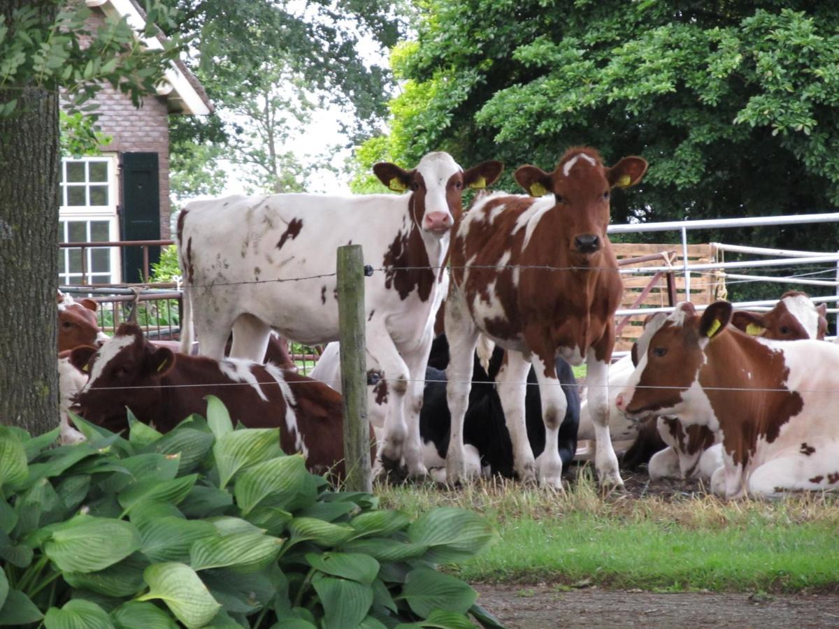 Appartamento Boerderij De Aarnink Heeten Esterno foto