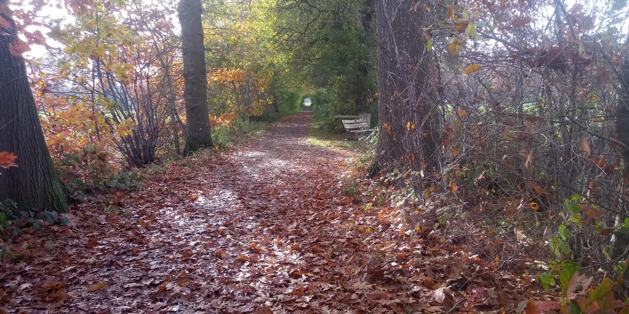 Appartamento Boerderij De Aarnink Heeten Esterno foto