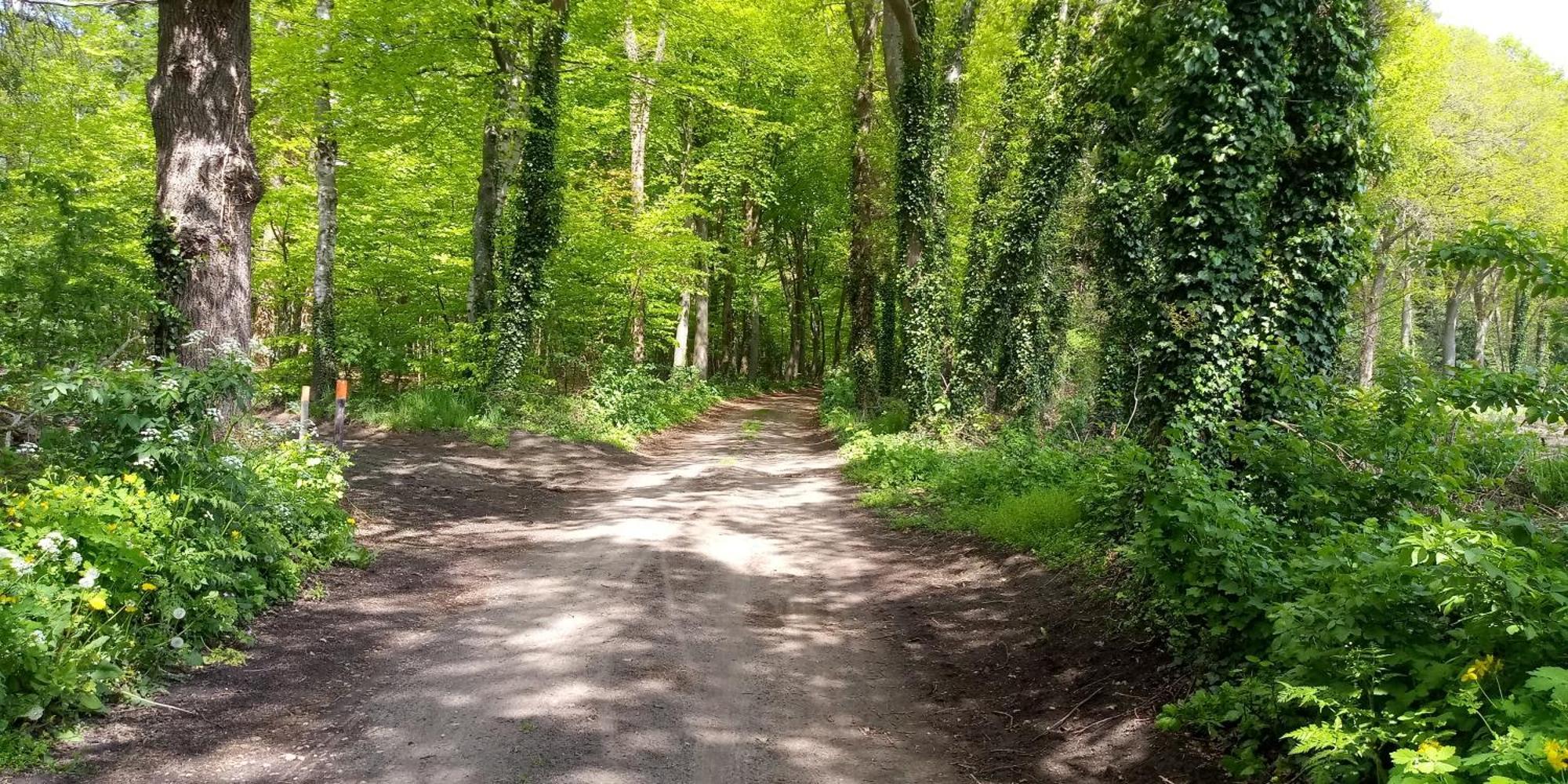 Appartamento Boerderij De Aarnink Heeten Esterno foto